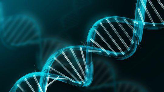 Digitalmania-internet-DNA Sintesis Masa Depan Penyimpanan Data