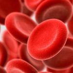 Menyimpan Data dalam Chip Sebesar Sel Darah Merah