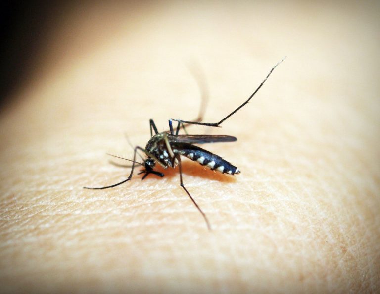 Robot Scientist Bantu Ilmuwan Temukan Penangkal Malaria