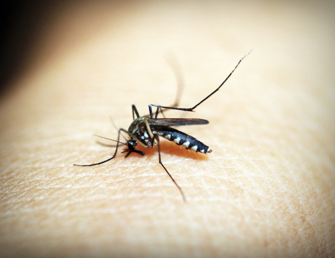Robot Scientist Bantu Ilmuwan Temukan Penangkal Malaria