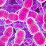 3000 Tahun Menunggu Penyakit Flu Segera Ada Obatnya