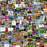 Aplikasi Foto Kolase Terbaik Smartphone