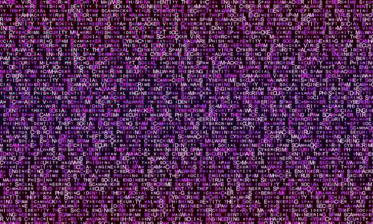Common Vulnerability & Exposures